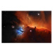 Fotografie Horsehead nebula, IC 434 Narrowband, Paul C Swift, 40x26.7 cm
