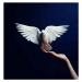 Fotografie White Dove flying from hand, blue background, Getty Images, 40 × 40 cm