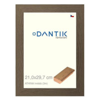 DANTIK rámeček 21 × 29,7, ATHINA hnědý sklo čiré