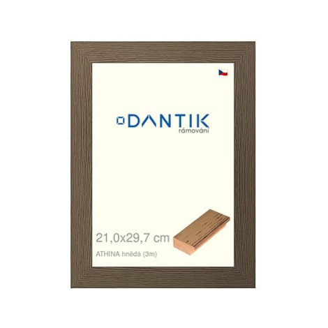 DANTIK rámeček 21 × 29,7, ATHINA hnědý sklo čiré