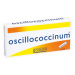 Boiron Oscillococcinum 6 Udt