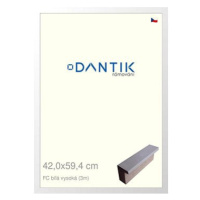 DANTIK rámeček 42 × 59,4, FC Bílý vysoký plexi čiré