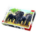 Trefl Puzzle Afričtí sloni / 1000 dílků
