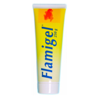 Flamigel 250ml