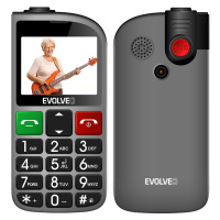 EVOLVEO EasyPhone FL, mobilní telefon pro seniory s nabíjecím stojánkem, stříbrná