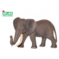 Atlas E Slon africký 16 cm