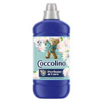 Coccolino aviváž Waterlilly 1,275l