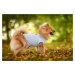 Vsepropejska Enji elastické tričko pro psa Barva: Lososová, Délka zad (cm): 25, Obvod hrudníku: 