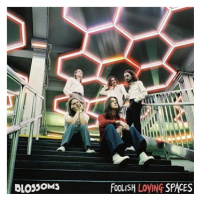 Blossoms: Foolish Loving Spaces - CD