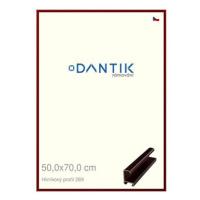 DANTIK rámeček 50 × 70, ALU profil 7269 Červený Rubin broušený plexi čiré