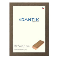 DANTIK rámeček 29,7 × 42, ATHINA hnědý plexi čiré