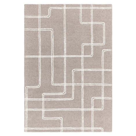 Světle šedý ručně tkaný vlněný koberec 160x230 cm Ada – Asiatic Carpets