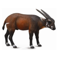 Saola