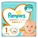 PAMPERS Premium Care Velikost 1, 26 ks