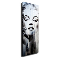 Nástěnný obraz na plátně Marilyn, 30 x 80 cm
