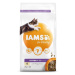 IAMS Cat Kitten Chicken 2kg