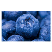 Fotografie Wet Blueberry Closeup, Kativ, 40 × 26.7 cm