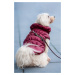 Vsepropejska Magie zimní bunda pro psa Barva: Zelená, Délka zad (cm): 36, Obvod hrudníku: 48 - 5
