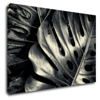 Impresi Obraz Detail listů - 60 x 40 cm