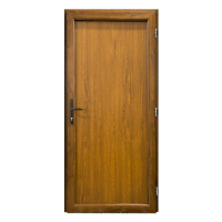 Vchodové dveře LARINO D03 90P 100x208x7 zlatý dub