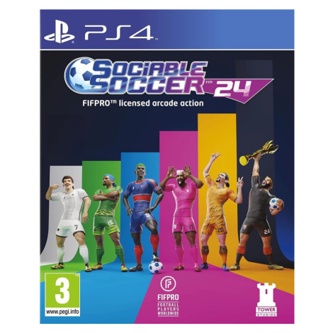Sociable Soccer 24 (PS4) Contact Sales