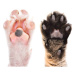 Fotografie Paws of cat and dog together, Sonsedska, 40 × 22.2 cm