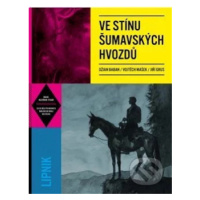 Ve stínu šumavských hvozdů - Džian Baban, Vojtěch Mašek, Jiří Grus - kniha z kategorie Komiksy