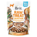 Brit Raw Treat Digestion s kuřecím - 40 g