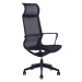 Kancelářská židle Sego SKY — síť, černá