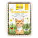 Kočičí tráva Gimpet Hy-Gras 150 g - Výhodné balení 3 x 150 g