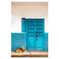 Umělecká fotografie VA106  dog keeping beside door, VDCM image, (26.7 x 40 cm)