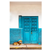 Fotografie VA106  dog keeping beside door, VDCM image, 26.7 × 40 cm