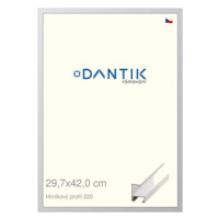 DANTIK rámeček 29,7 × 42, ALU profil 6220 Bílý matný plexi čiré