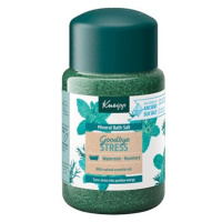 KNEIPP Sůl do koupele Goodbye Stress 500 g