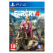 Far Cry 4 (PS4)