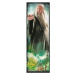 Trefl Puzzle Harry Potter 10v1