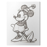 Obraz na plátně Minnie - Single, 2 cm - 30×40 cm