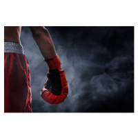 Fotografie Red boxing glove, FOTOKITA, 40 × 26.7 cm