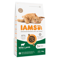 IAMS Advanced Nutrition Adult Cat s jehněčím - 3 kg