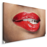 MyBestHome BOX Plátno Sexy Lips Varianta: 90x60