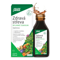 SALUS Zdravá střeva bylinné tonikum 250ml