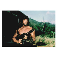 Fotografie Rambo - Sylvester Stallone, 40 × 26.7 cm