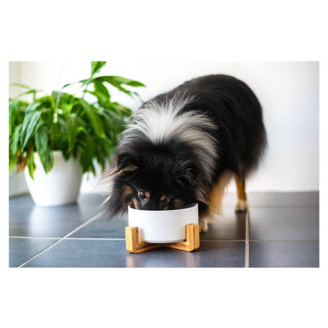 Vsepropejska Tabby keramická miska pro psa či kočku Barva: Černá, Rozměr (cm): 12