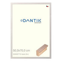 DANTIK rámeček 50 × 70, KASSETTE šedý 3055 plexi čiré