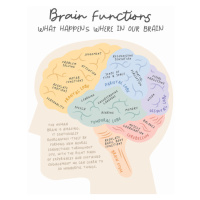 Ilustrace Brainfunctions, Beth Cai, (30 x 40 cm)