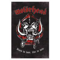 Plakát, Obraz - Motorhead - Born To Lose, (61 x 91.5 cm)