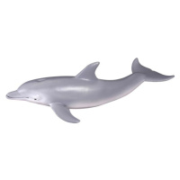Collecte - Delfín