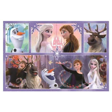 Puzzle Ledové království Svět plný magie MAXI Trefl