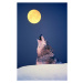 Umělecká fotografie Wolf howling at full moon, Martin Ruegner, (26.7 x 40 cm)