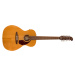 Fender Villager 12-String WN AGN